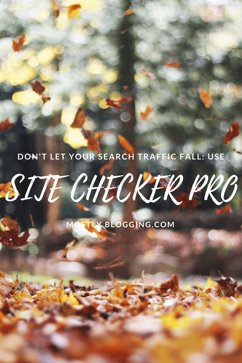17 Reasons You Need to Fix Your SEO Errors